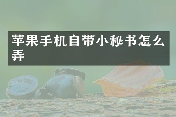苹果手机自带小秘书怎么弄
