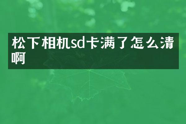 相机sd卡满了怎么清理啊