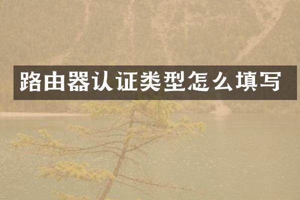 路由器认证类型怎么填写