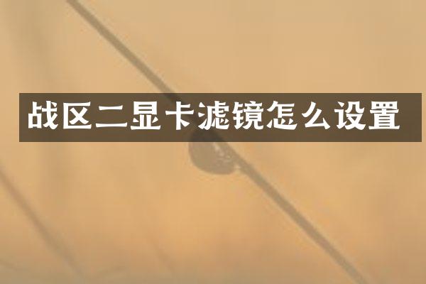 战区二显卡滤镜怎么设置