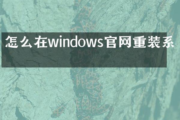 怎么在windows官网重装系统