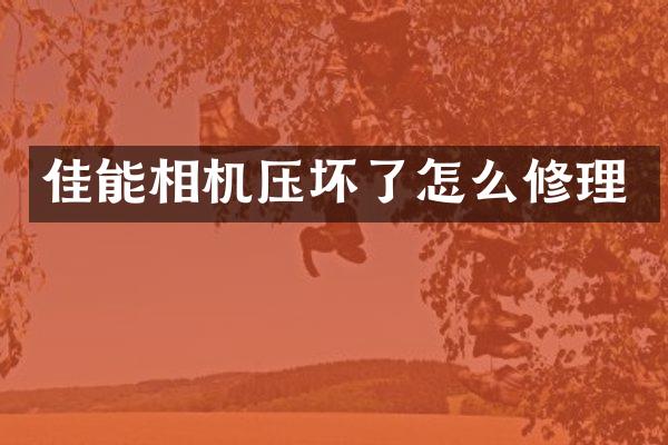 佳能相机压坏了怎么修理