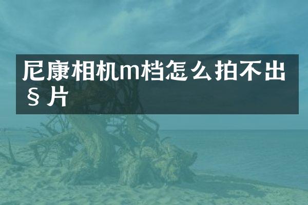 尼康相机m档怎么拍不出照片