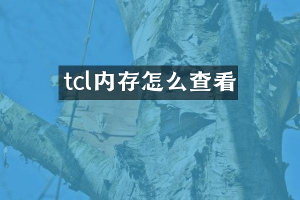 tcl内存怎么查看