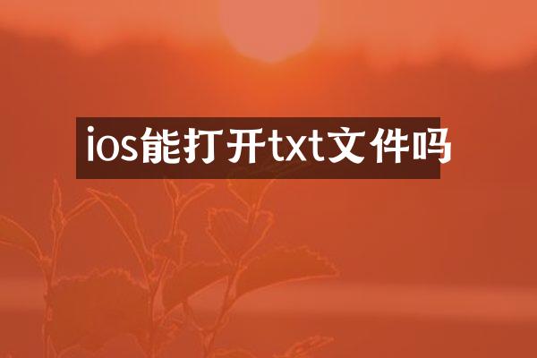 ios能打开txt文件吗