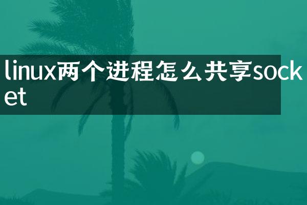 linux两个进程怎么共享socket