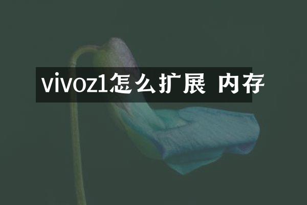 vivoz1怎么扩展 内存