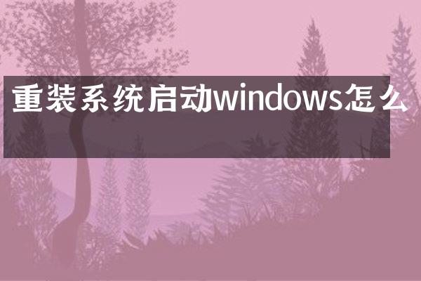 重装系统启动windows怎么办