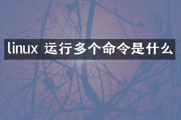 linux 运行多个命令是什么