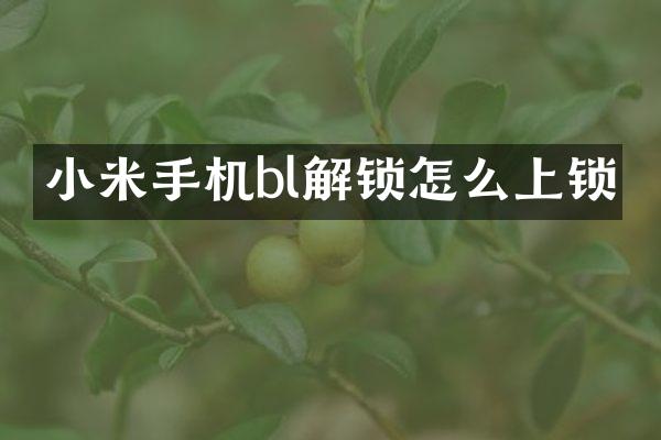 小米手机bl解锁怎么上锁