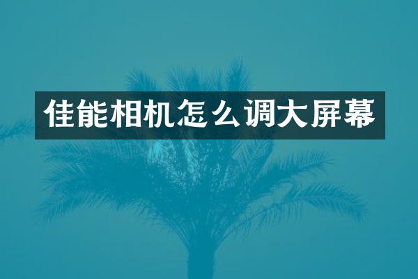 佳能相机怎么调大屏幕
