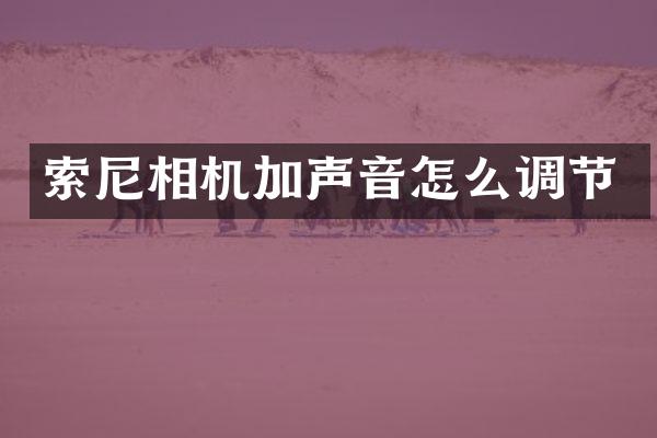 相机加声音怎么调节