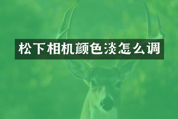 相机颜色淡怎么调