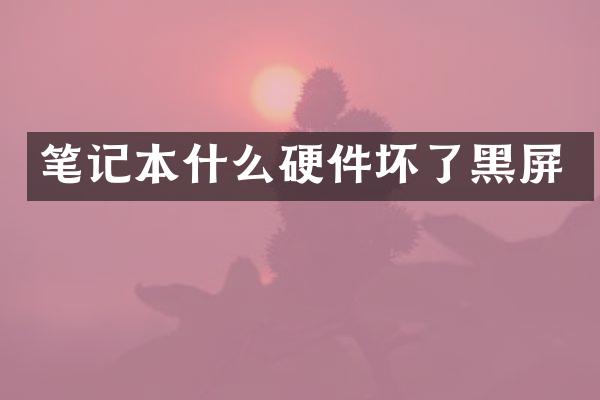 笔记本什么硬件坏了黑屏