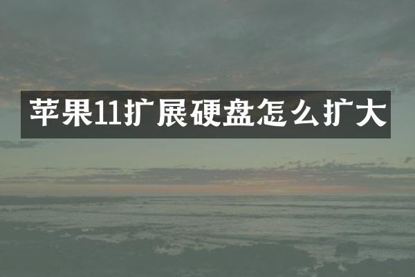 苹果11扩展硬盘怎么扩大