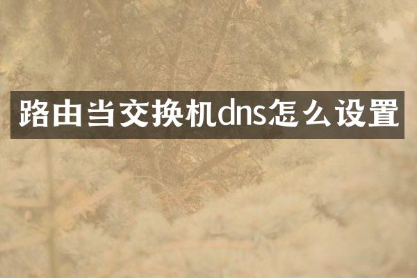 路由当交换机dns怎么设置