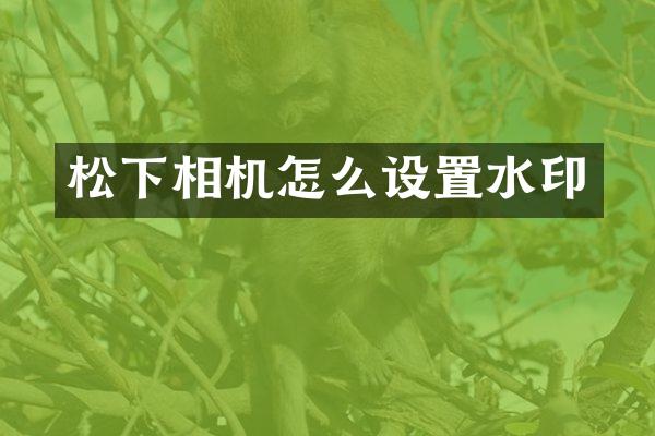 相机怎么设置水印