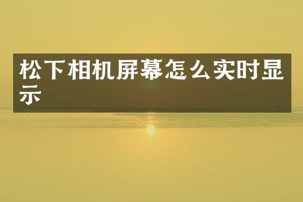 相机屏幕怎么实时显示