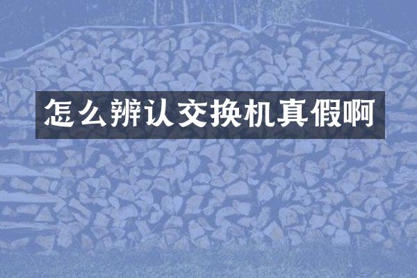 怎么辨认交换机真假啊