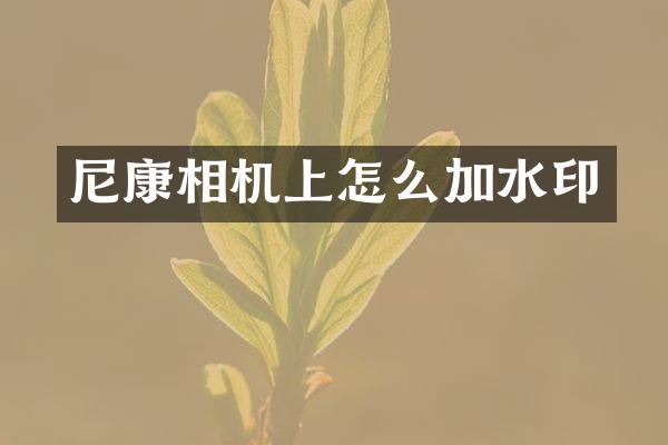 尼康相机上怎么加水印