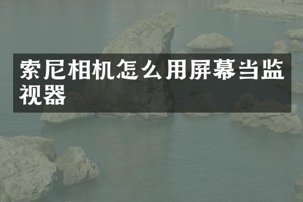 相机怎么用屏幕当监视器