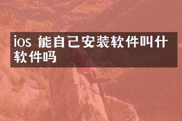 ios 能自己安装软件叫什么软件吗