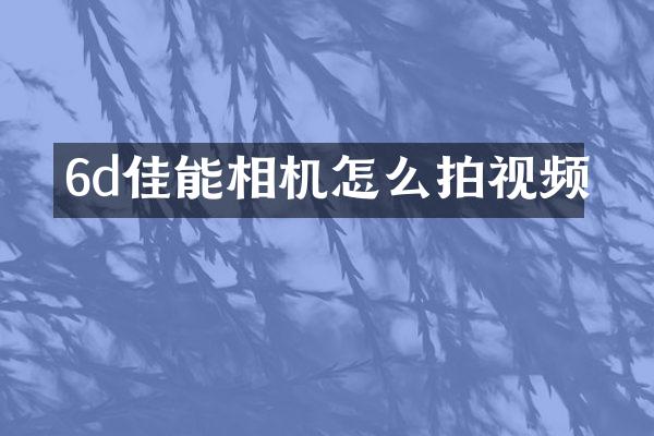 6d佳能相机怎么拍视频