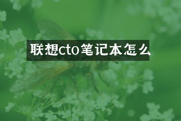 联想cto笔记本怎么