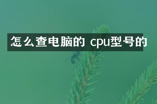 怎么查电脑的 cpu型号的