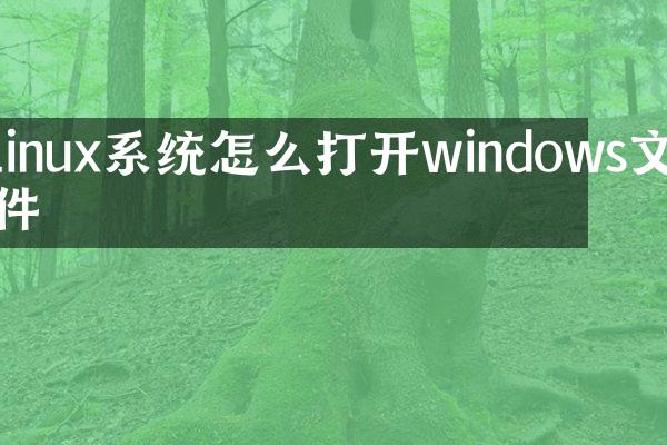 linux系统怎么打开windows文件