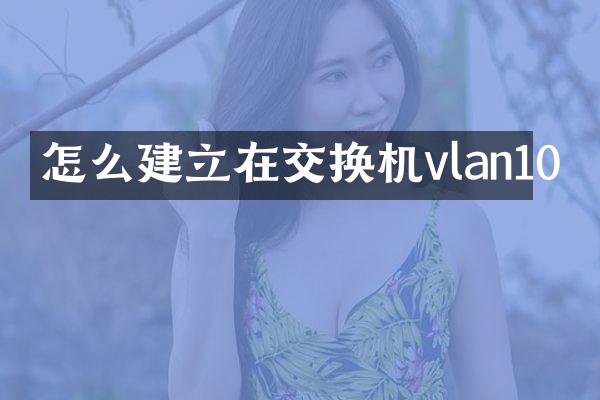 怎么建立在交换机vlan10
