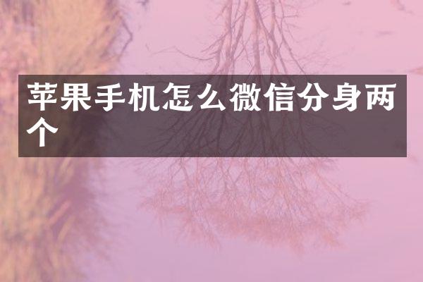 苹果手机怎么微信分身两个