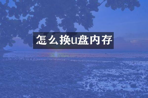 怎么换u盘内存