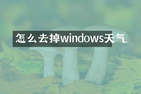 怎么去掉windows天气
