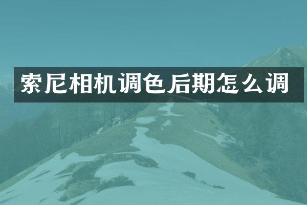 相机调色后期怎么调