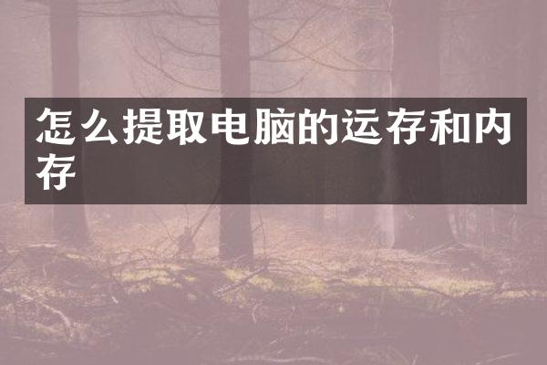 怎么提取电脑的运存和内存