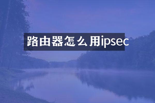 路由器怎么用ipsec