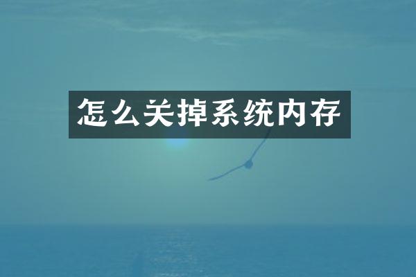 怎么关掉系统内存