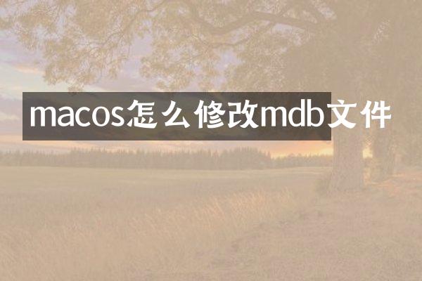 macos怎么修改mdb文件