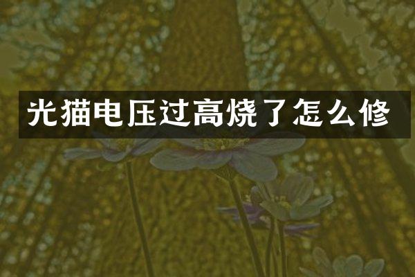 光猫电压过高烧了怎么修
