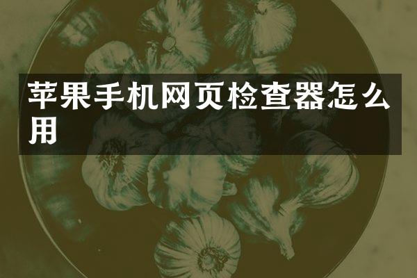 苹果手机网页检查器怎么用