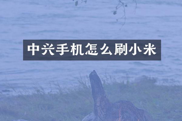 中兴手机怎么刷小米