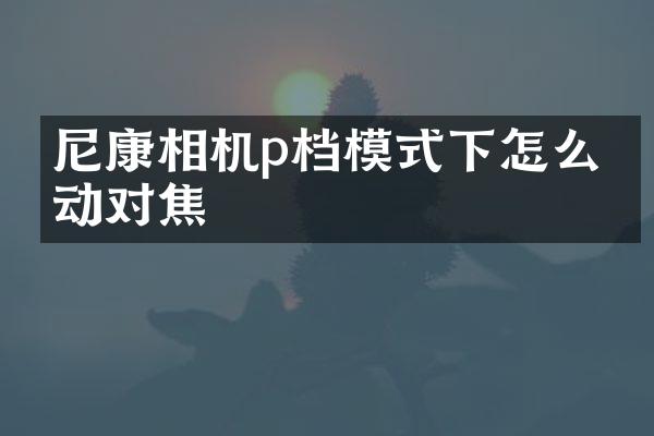 尼康相机p档模式下怎么手动对焦