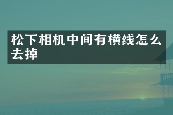 相机中间有横线怎么去掉