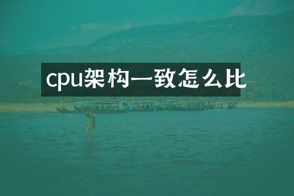 cpu架构一致怎么比