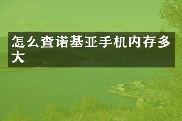 怎么查诺基亚手机内存多大