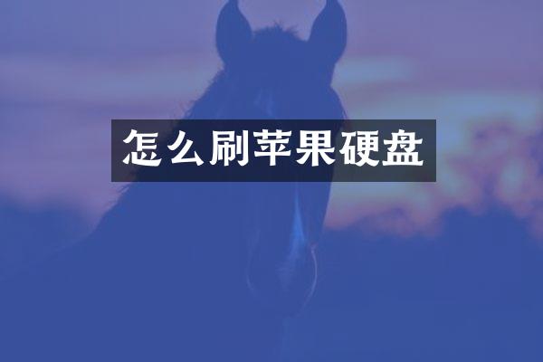 怎么刷苹果硬盘