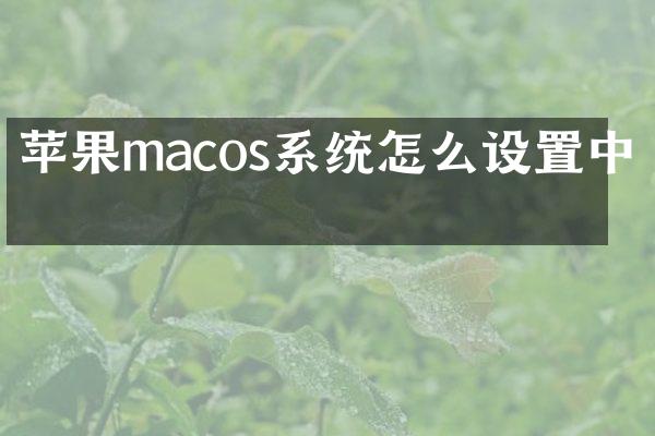 苹果macos系统怎么设置中文
