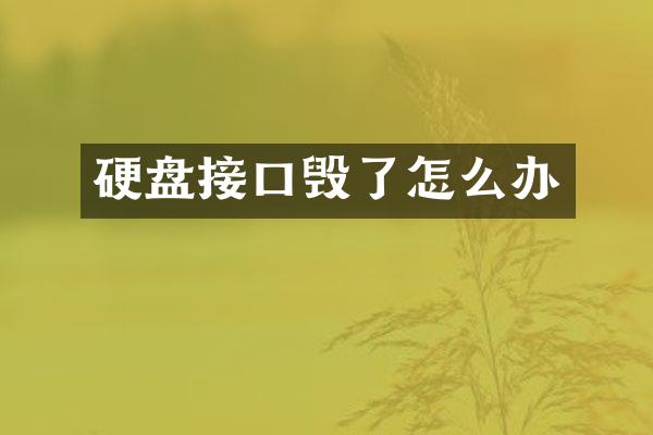 硬盘接口毁了怎么办
