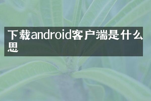 下载android客户端是什么意思